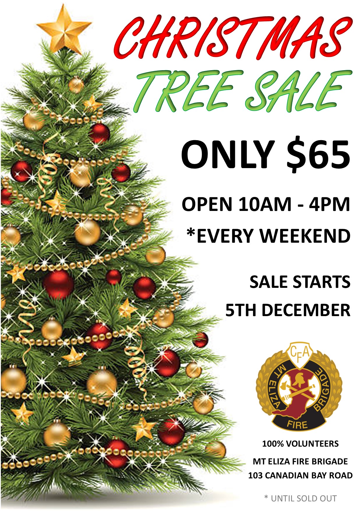 2020 Christmas Tree Sales + Santa Drive + Christmas Cards Mt Eliza