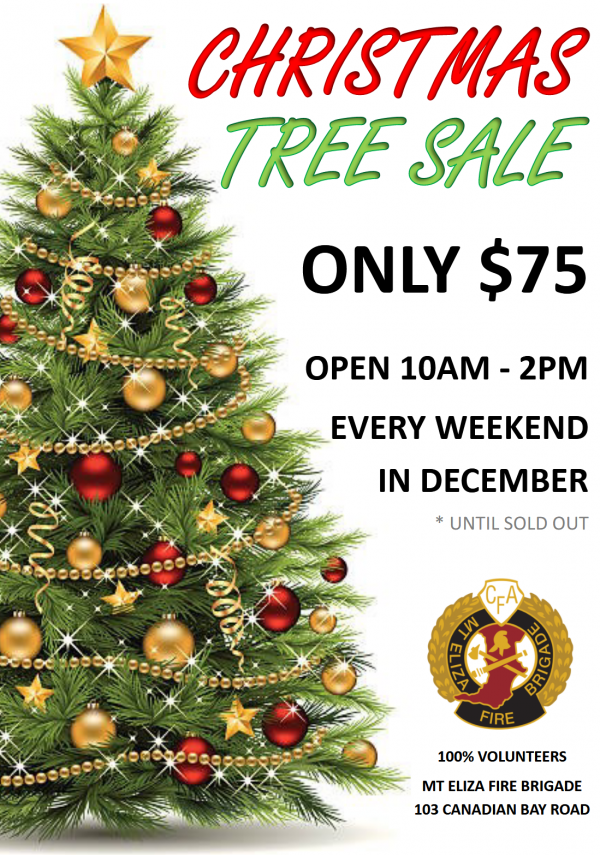 Christmas Tree Sales & Santa Present Run Mt Eliza Fire Brigade